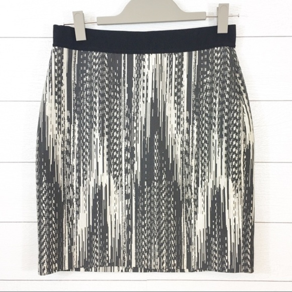 Ann Taylor Skirt